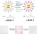 An efficient all-visible light-activated photoswitch based on diarylethenes and CdS quantum dots