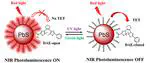 Optically Switchable NIR Photoluminescence of PbS Semiconducting Nanocrystals using Diarylethene Photoswitches